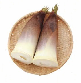生たけのこ