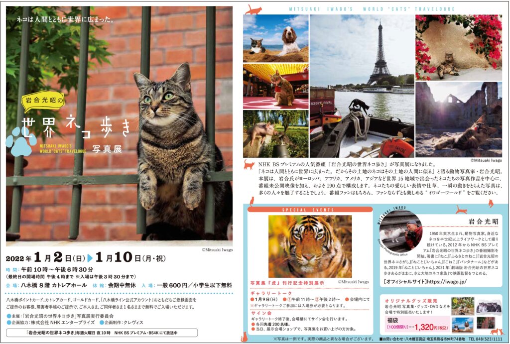 岩合光昭の世界ネコ歩き写真展