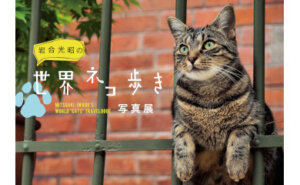 岩合光明の世界ネコ歩き写真展