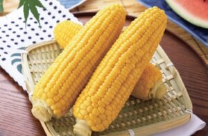 群馬県産他とうもろこし