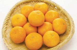 県産他ハウ佐賀スみかん