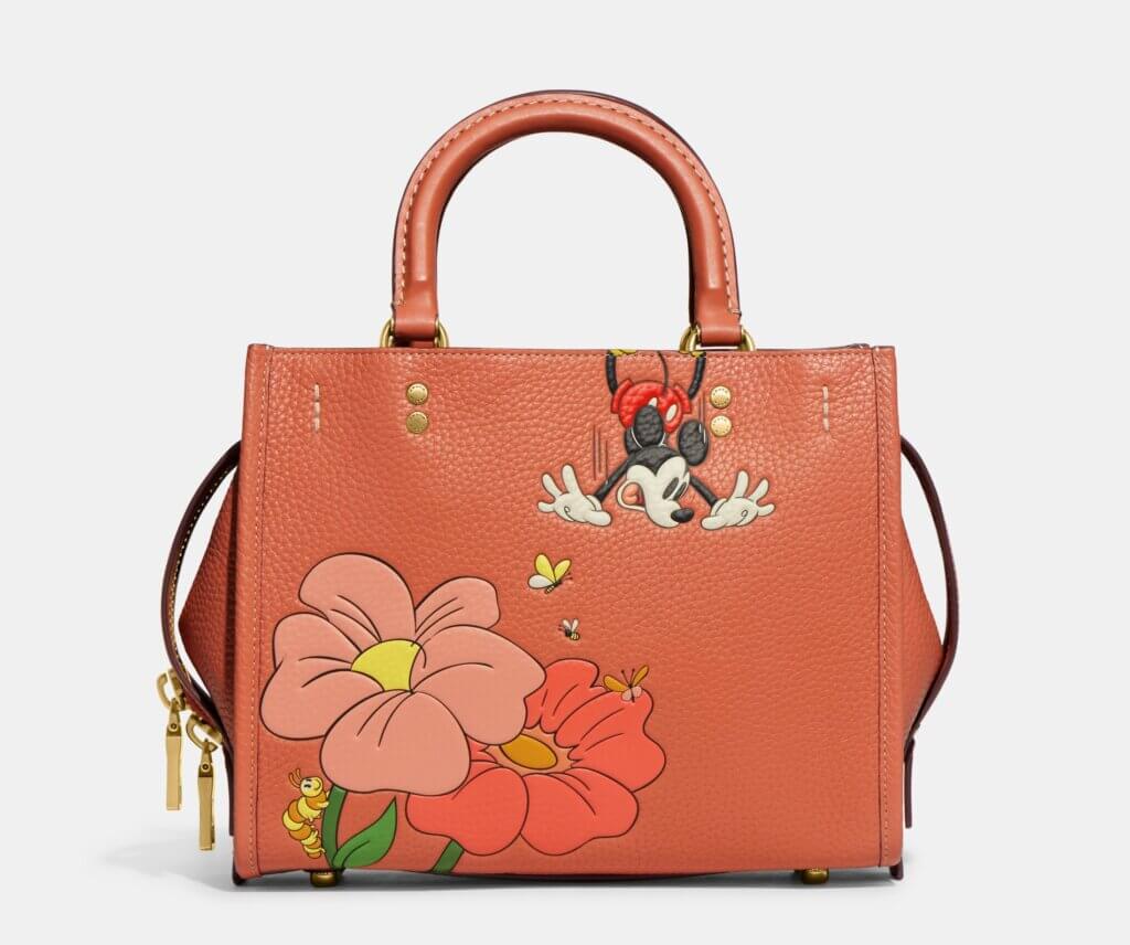 Ｄｉｓｎｅｙ × Ｃｏａｃｈ　ディズニー　創立100周年限定コレクション