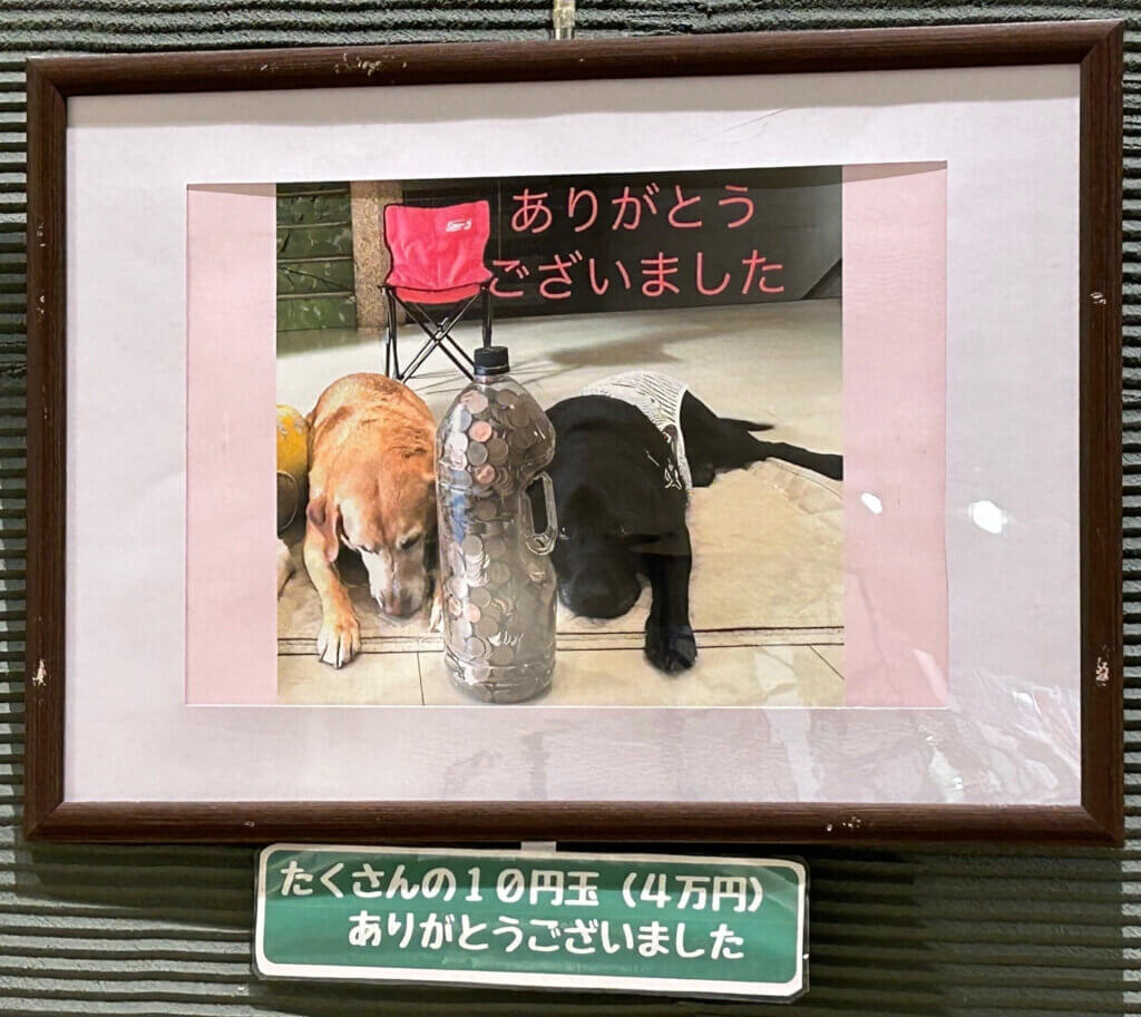 チームユーチャリス 盲導犬育成啓発活動写真展
