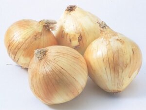 静岡県産他 新玉ねぎ