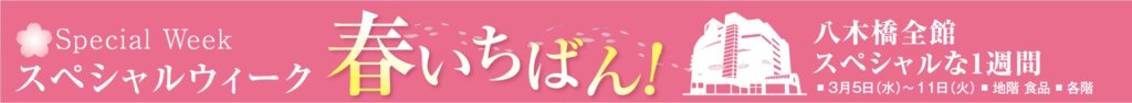 Special Week スペシャルウィーク　春いちばん！