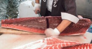 生本まぐろ解体即売会