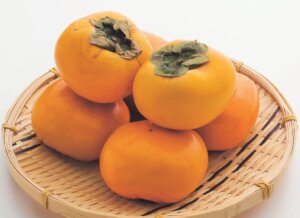 和歌山県産他 種なし柿
