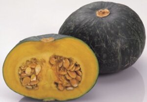 北海道産かぼちゃ