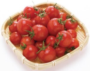 熊本県産他 ミニトマト