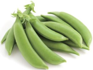 長崎県産他スナック えんどう