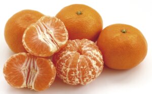 福岡県産他 早生みかん