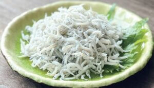 愛知県産他白す于